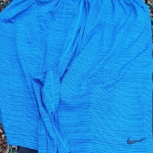 Nike Bright Blue Striped Shorts Dri-fit